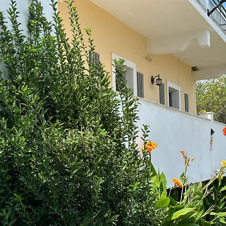 Full House Kavos Ξενοδοχείο Εξωτερικό φωτογραφία
