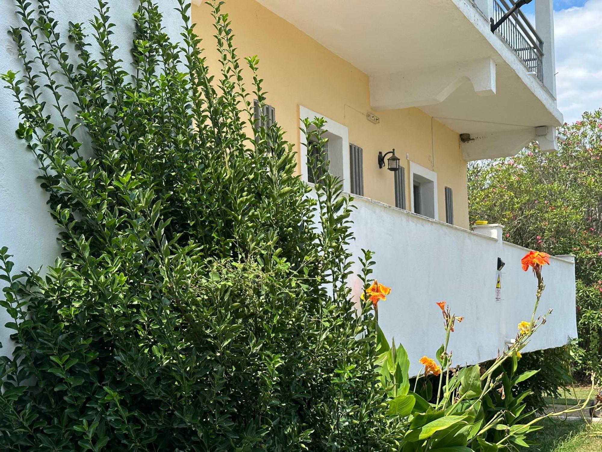 Full House Kavos Ξενοδοχείο Εξωτερικό φωτογραφία